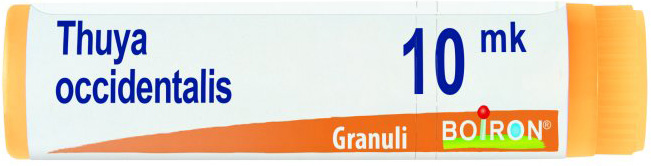 THUYA OCCIDENTALIS XMK GLOBULI 1G - Farmacia Bartoli