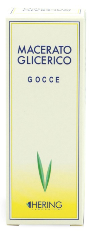 TILIA TOMENTOSA GEMME MACERATO GLICERICO 60 ML - Farmacia Bartoli