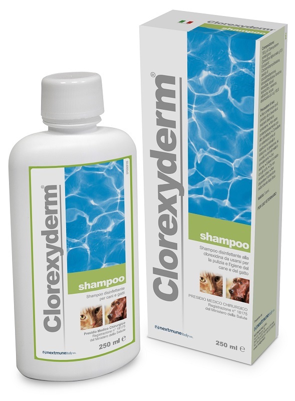 CLOREXYDERM SHAMPOO 250 ML - Farmacia Bartoli