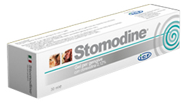 STOMODINE GEL GENGIVALE CANI 30 ML - Farmacia Bartoli