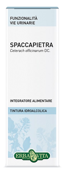 SPACCAPIETRA TINTURA IDROALCOLICA 50 ML EBV - Farmacia Bartoli