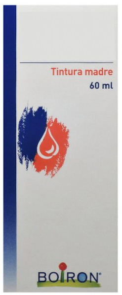 TARAXACUM TINTURA MADRE 60 ML - Farmacia Bartoli