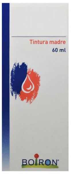 THUYA OCCIDENTALIS TINTURA MADRE 60 ML - Farmacia Bartoli