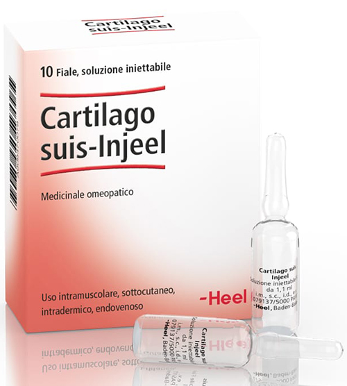 HEEL CARTILAGO SUIS INJEEL 10 FIALE - Farmacia Bartoli