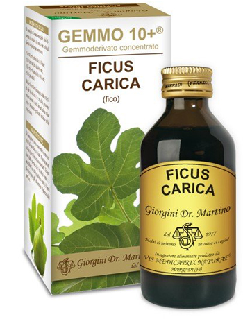 GEMMO 10+ FICO LIQUIDO ANALCOLICO 100 ML - Farmacia Bartoli