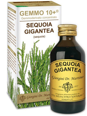 GEMMO 10+ SEQUOIA 100 ML LIQUIDO ANALCOLICO - Farmacia Bartoli