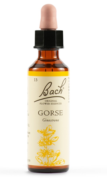 GORSE BACH ORIG 20 ML - Farmacia Bartoli
