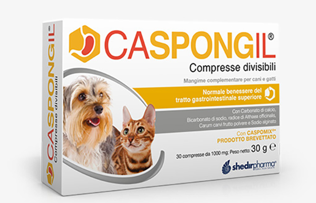CASPONGIL 30 COMPRESSE DIVISIBILI - Farmacia Bartoli