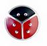 BJT980 ORECCHINI LADY BUG 6 STAINLESS STEEL - Farmacia Bartoli