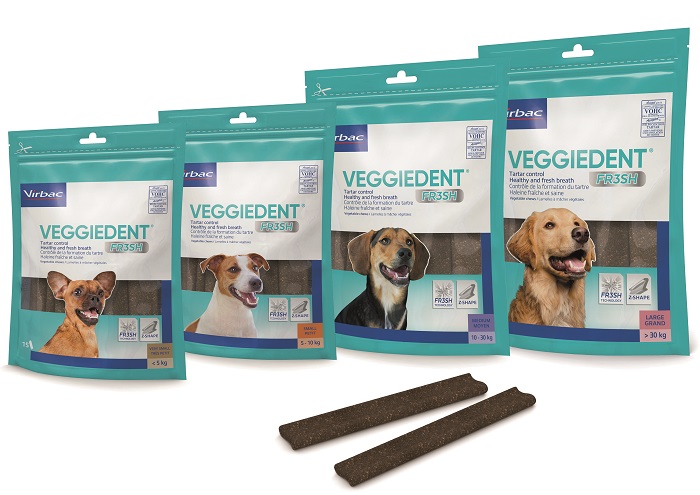 VEGGIEDENT FR3SH M 15 STICK - Farmacia Bartoli